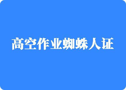 免费观看鸡插女人下面高空作业蜘蛛人证